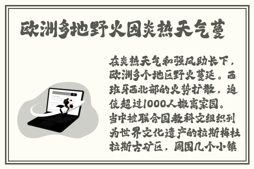 私密浏览器看片